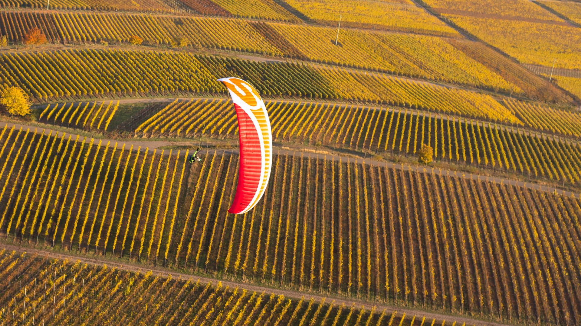 duddefliecher 20181105 001 1920 4